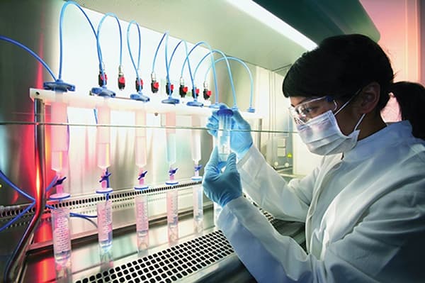 Lấy mẫu xét nghiệm ADN